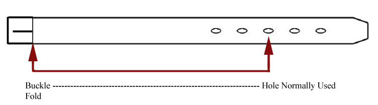 Custom Belt Sizing